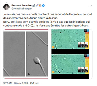 Annelise Bocquet - Spermatozoide - 26.11.2023